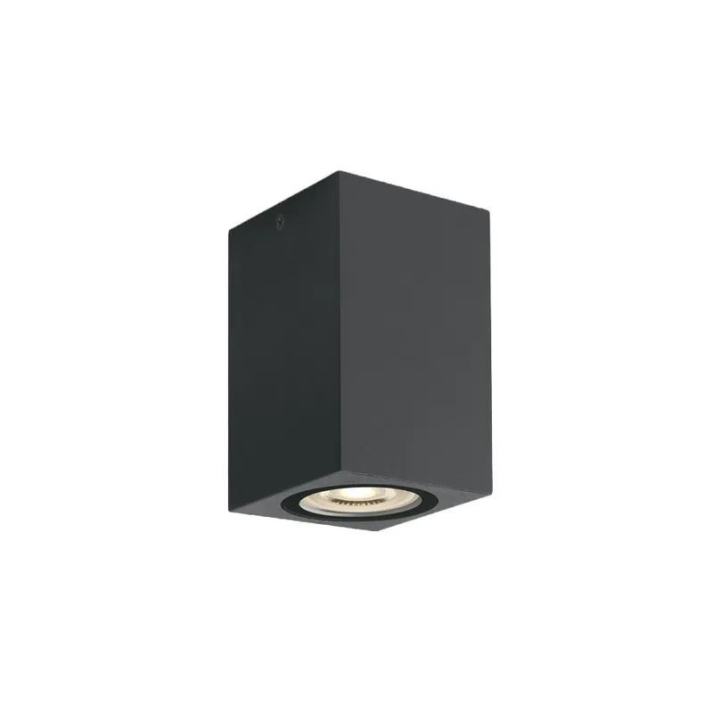 Artesanal ONE LIGHT Plafón Antracita GU10 H110