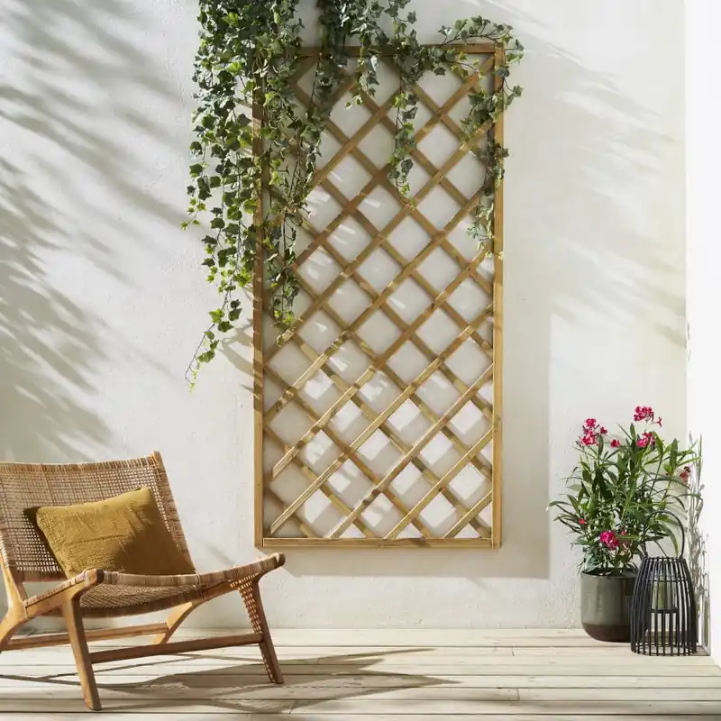 Oferta De Temporada Celosía soprano recta