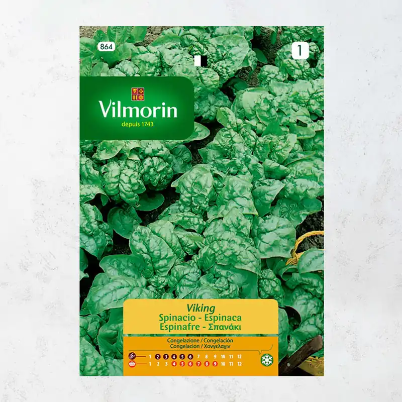 Semilla espinaca viking Precio Reducido