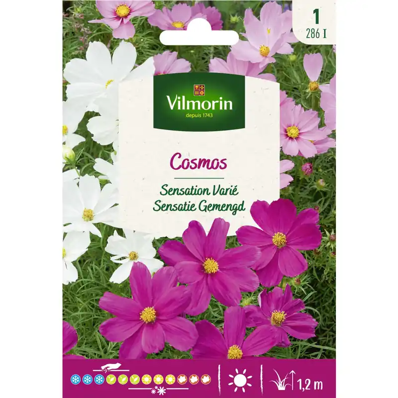 Nuevo Modelo Semilla cosmos sensation variada