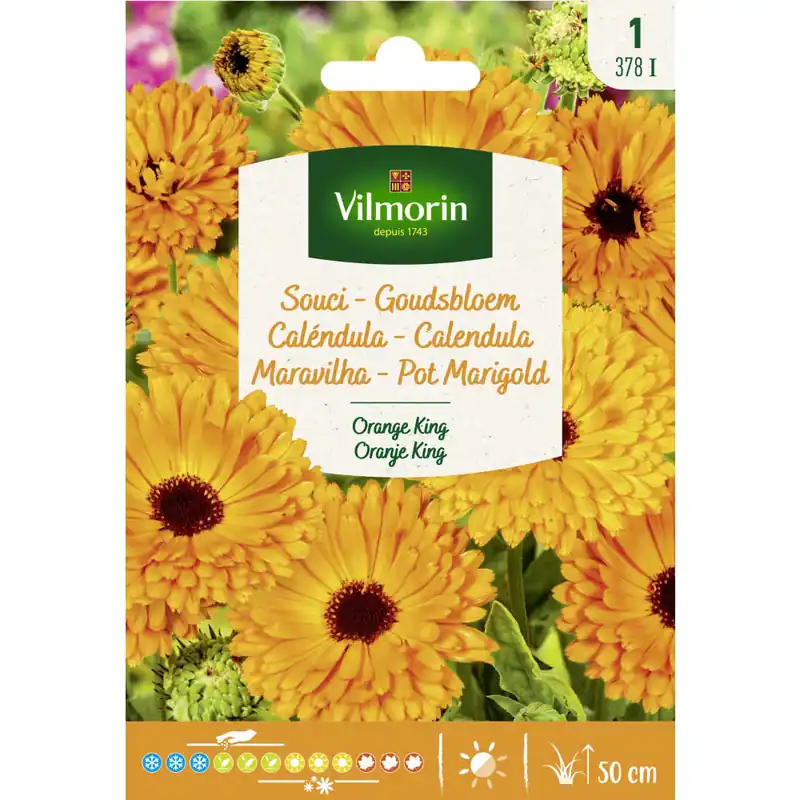Directo De Fábrica Semilla calendula doble naranja