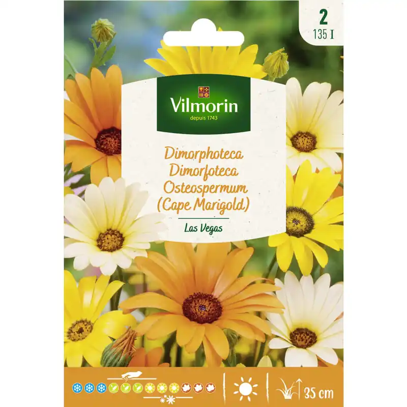 Semilla dimorfoteca variada Premium