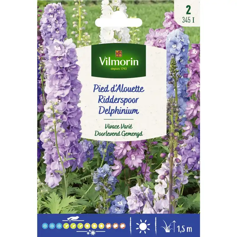 Ordenar Ahora Mismo Semilla delphinium variado
