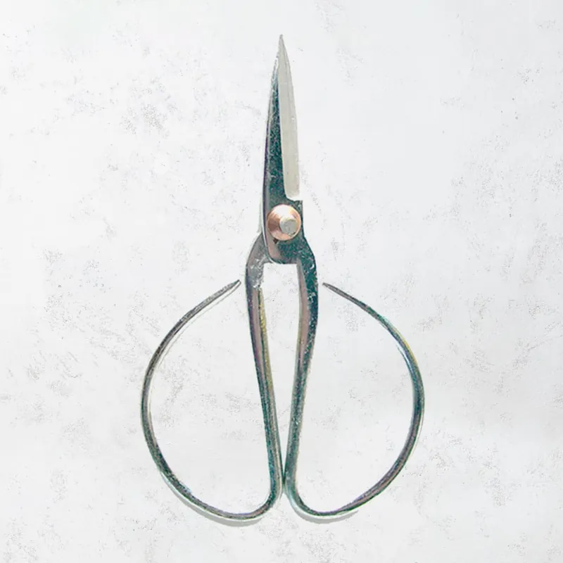Últimas Unidades Tijera pinzadora inox 120mm