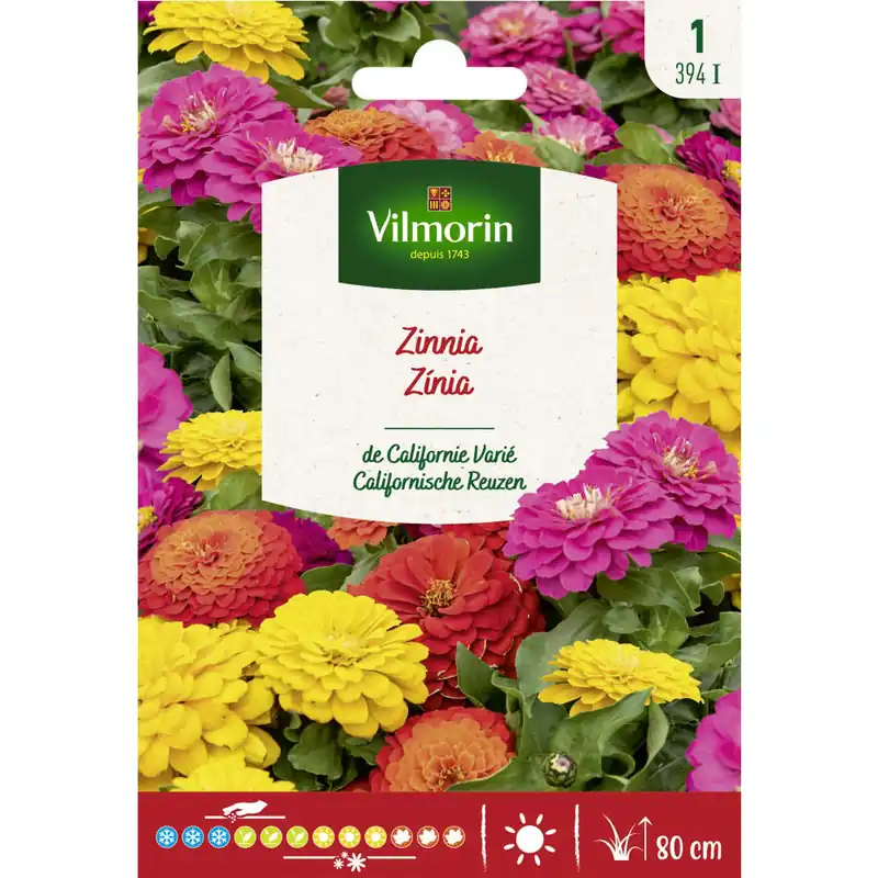 Liquidación Semilla zinnia de california