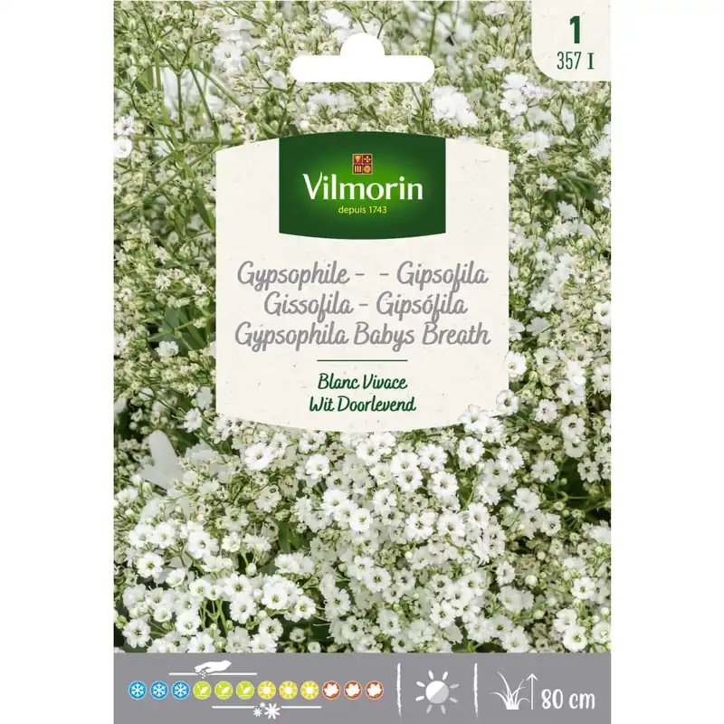 Bestseller Semilla gipsofila paniculata blanca