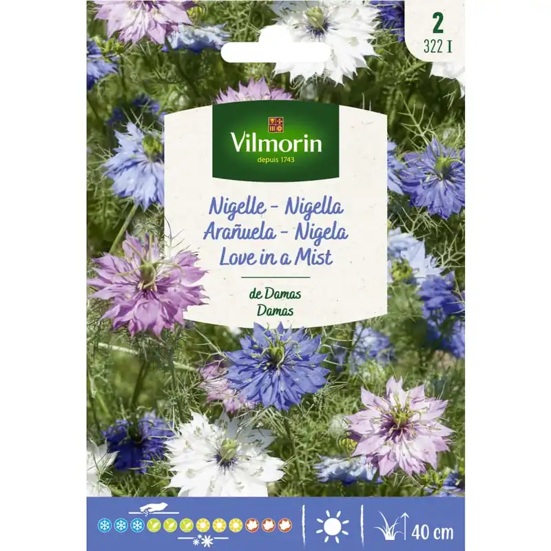 Gran Oferta Semilla arañuela de damasco variada