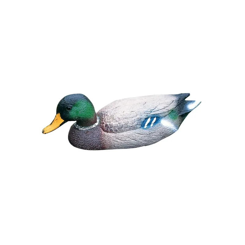 Marca Reconocida Pato salvaje macho