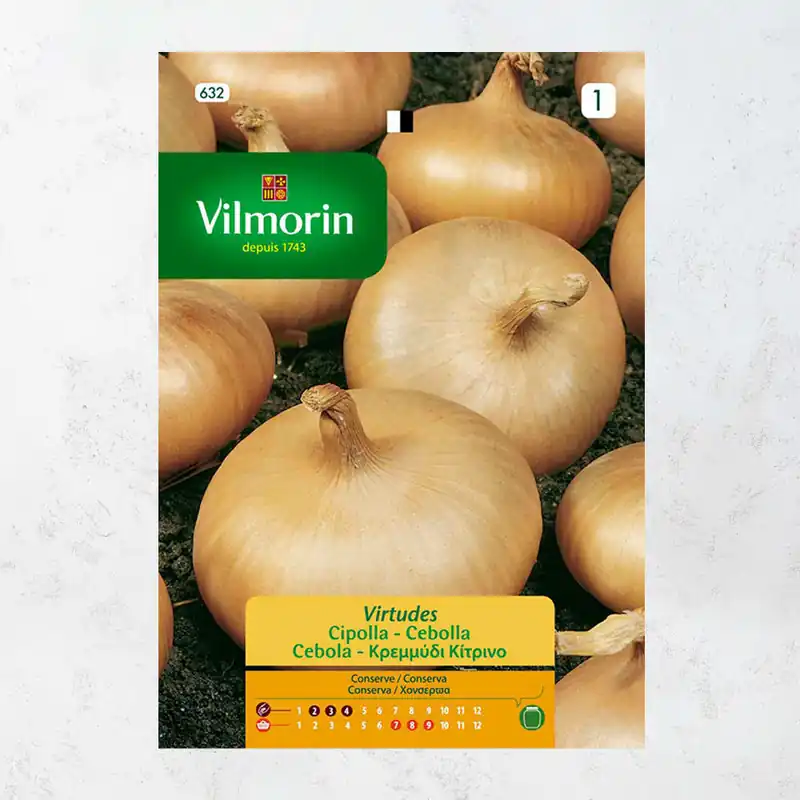 Comprar En Línea Semilla cebolla virtudes