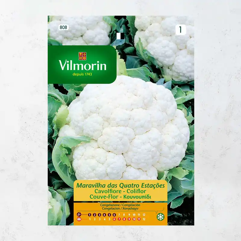 Semilla coliflor de 4 estaciones Venta Final