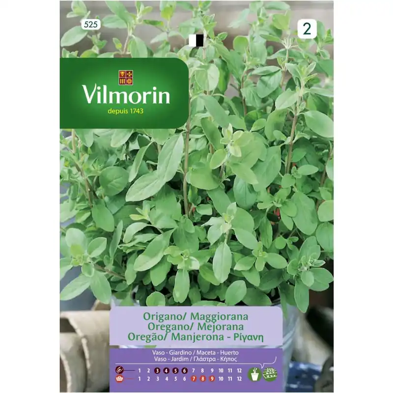 Última Oportunidad Semilla oregano-mejorana