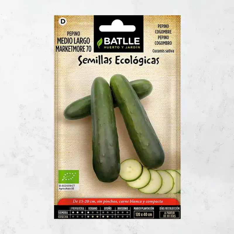 Semillas ecológicas de pepino marketmore 70 Súper Precio