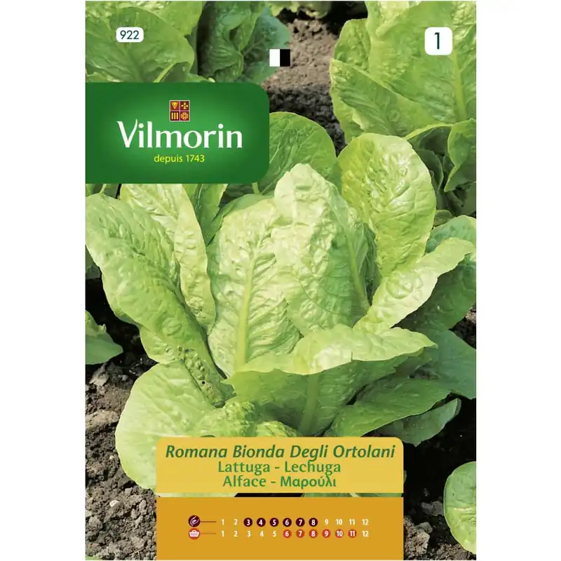 Semilla lechuga romana bionda ortolani Máxima Calidad