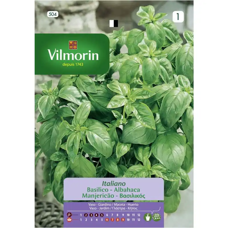 Semilla albahaca grande verde Garantía De Devolución De Dinero