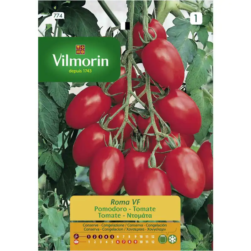 Nueva Colección Semilla tomate