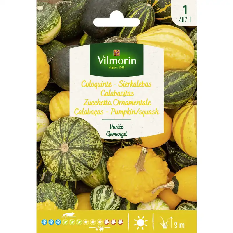 Máxima Calidad Semilla calabacitas ornamental