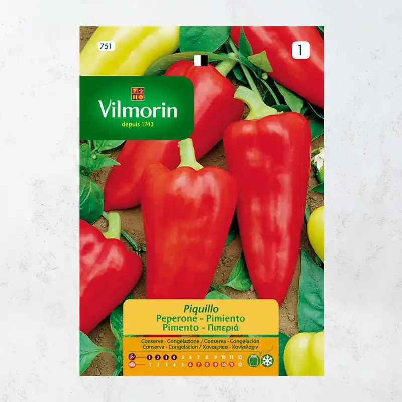 Semilla pimiento piquillo Compra Ahora