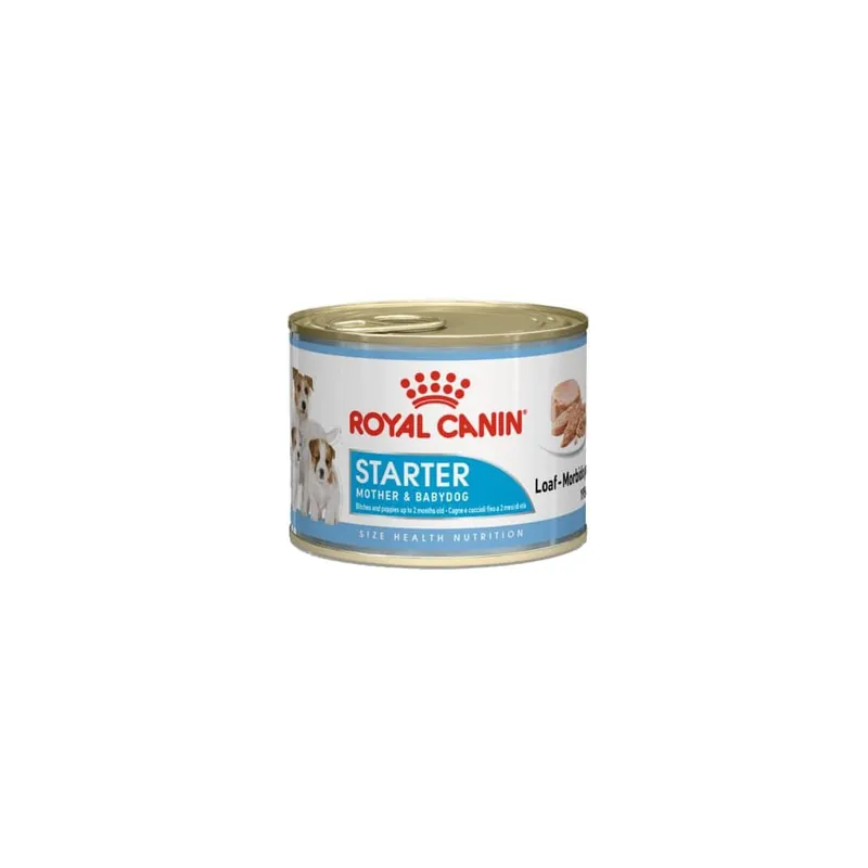 Royal canin alimento húmedo starter mousse Compra Ahora