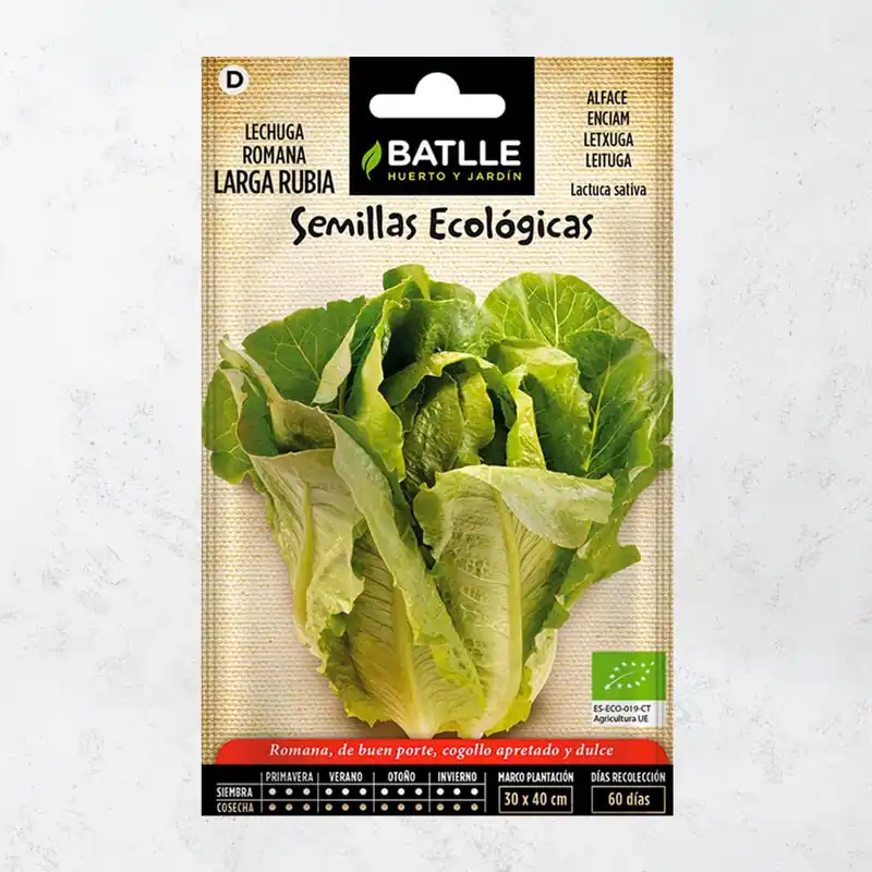 Semillas ecológicas de lechuga romana larga rubia Directo De Fábrica
