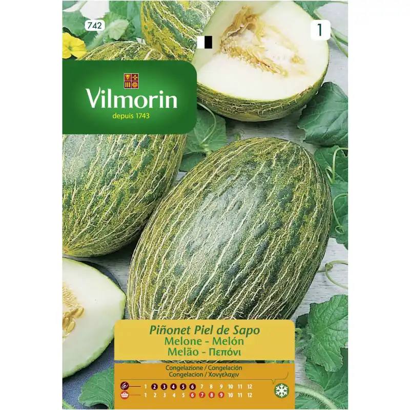 Semilla melon piñonet piel de sapo Comprar En Línea