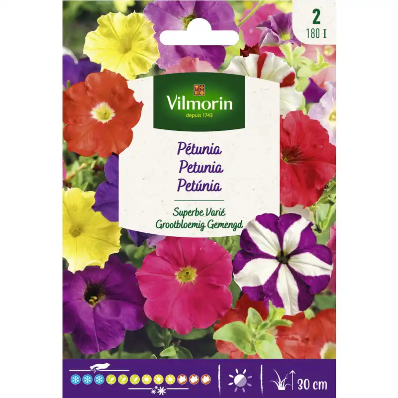 Precio Rebajado Semilla petunia superbissima