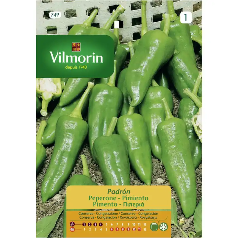 Ocasión Especial Semilla pimiento padron