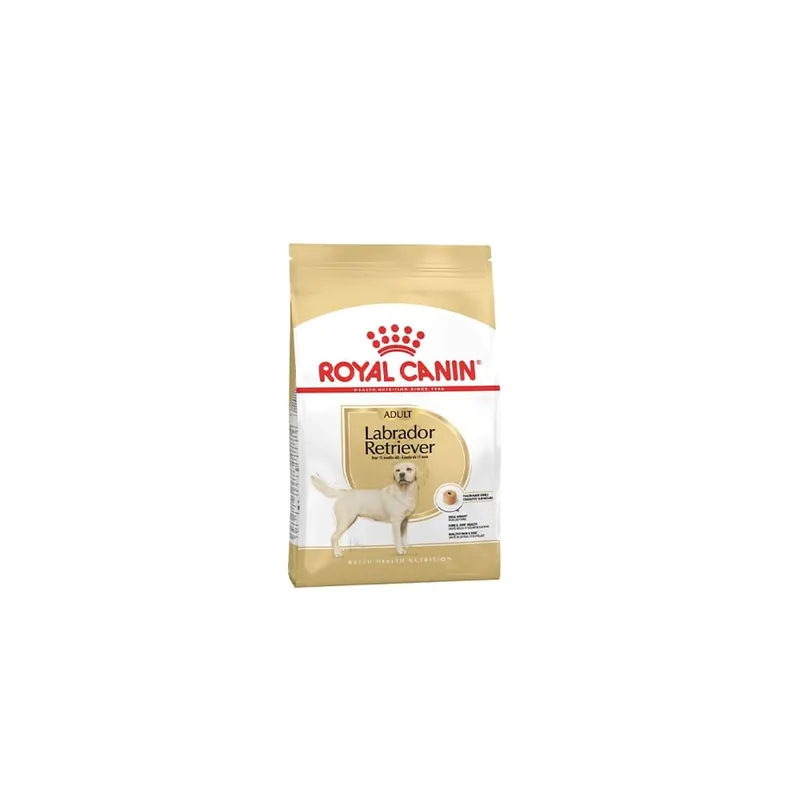 Royal canin labrador Ordena Ya