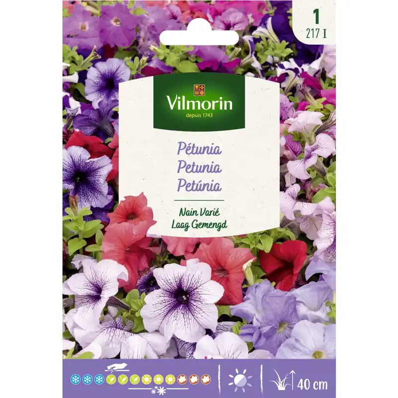 Semilla petunia enana variada Última Oportunidad