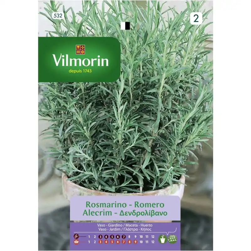 Semilla romero Imprescindible (Must-Have)