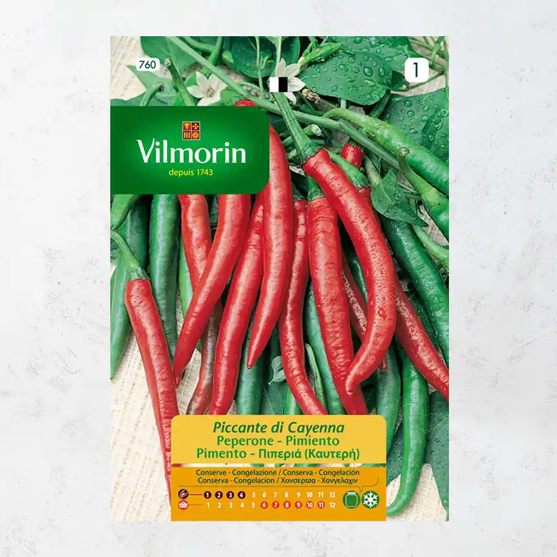 Tendencia Semilla pimiento picante di cayenna