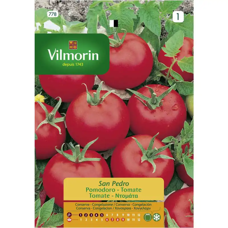 Semilla tomate san pedro Precio Reducido