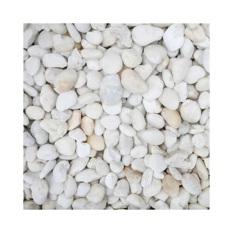 Precio Bajo Grava marina decorativa blanca - 2kg
