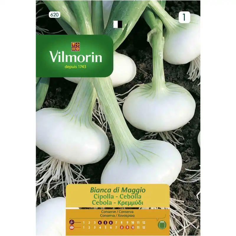 Comprar En Línea Semilla cebolla blanca de la reina
