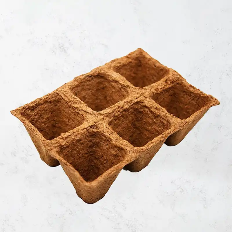Ordenar Ahora Mismo Bandeja maceta turba 5x5cm