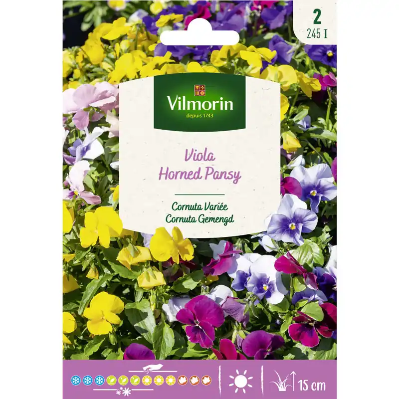 Precio De Fábrica Semilla viola cornuta