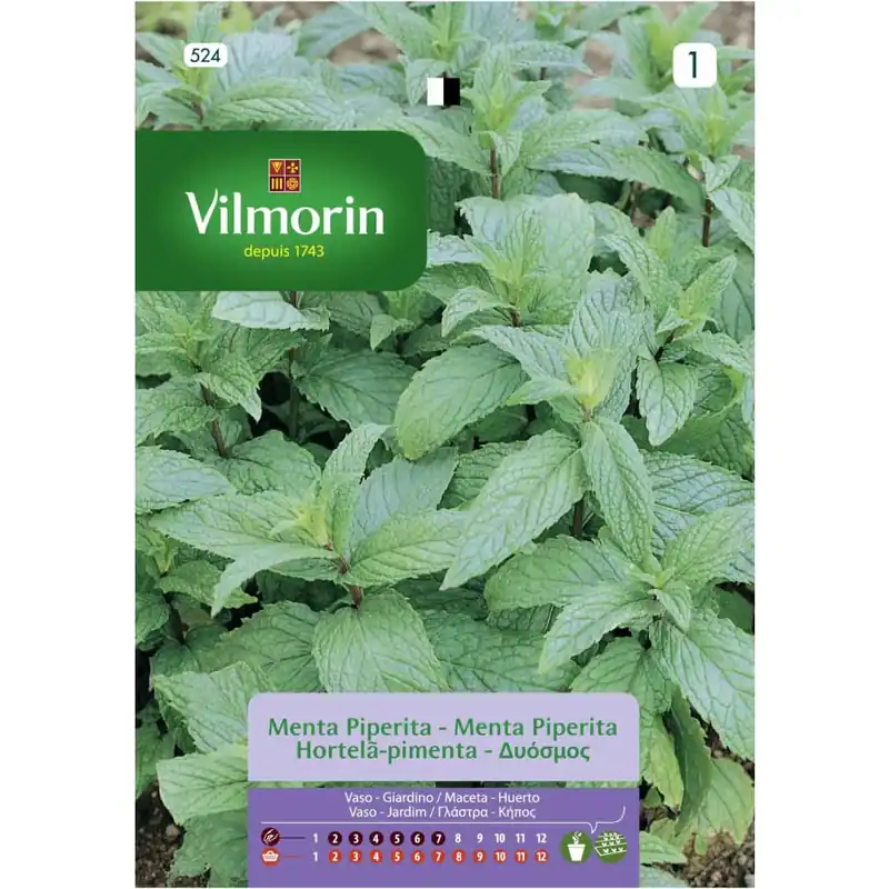 Precio Reducido Semilla menta piperita