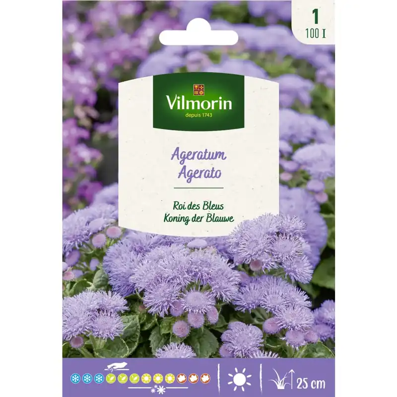Semilla agerato azul Oferta De Temporada