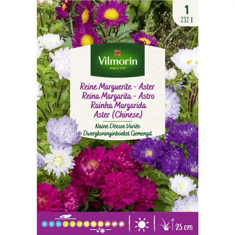 Precio De Fábrica Semilla reina margarita enana variada