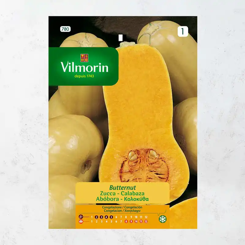 Artesanal Semilla calabaza butternut