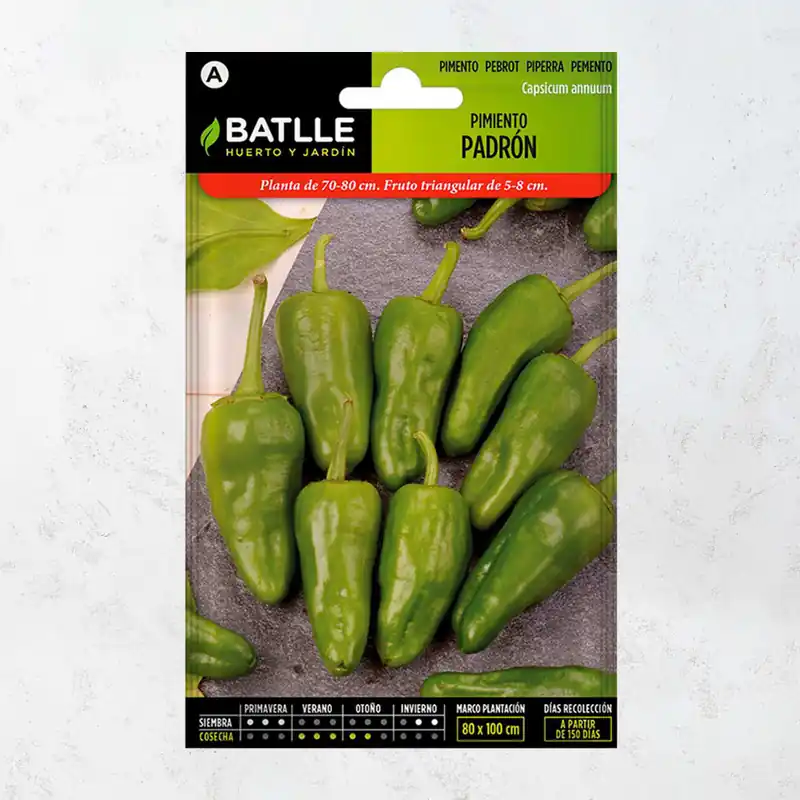 Envío Inmediato Semillas pimiento padron
