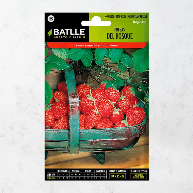 Semillas fresas del bosque Artesanal