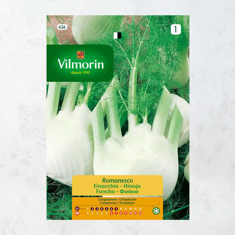 Semilla hinojo romanesco Edición Limitada
