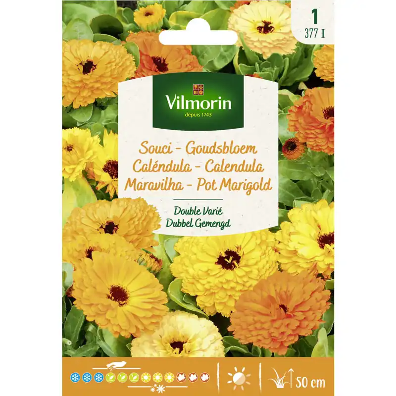 Semilla calendula doble variada Garantía Incluida