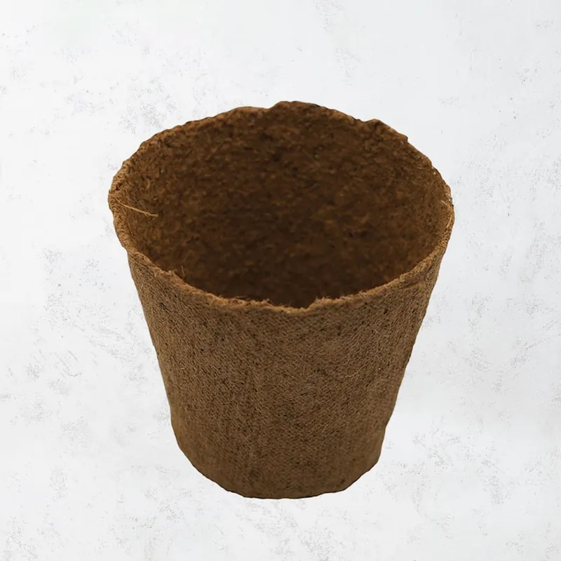 Más Vendido Maceta turba redonda Ø8cm - Pack 24 Uds