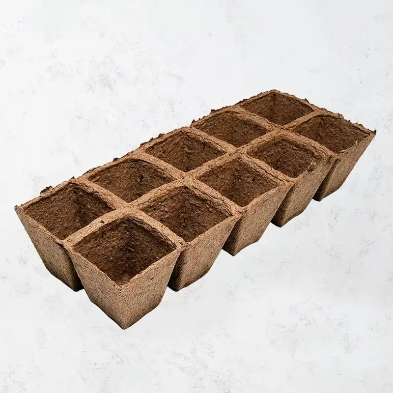 Compra Hoy Bandeja maceta turba 6x6cm