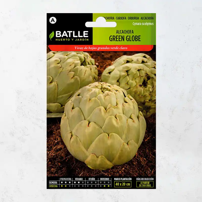 Rebajas Semillas alcachofa green globe