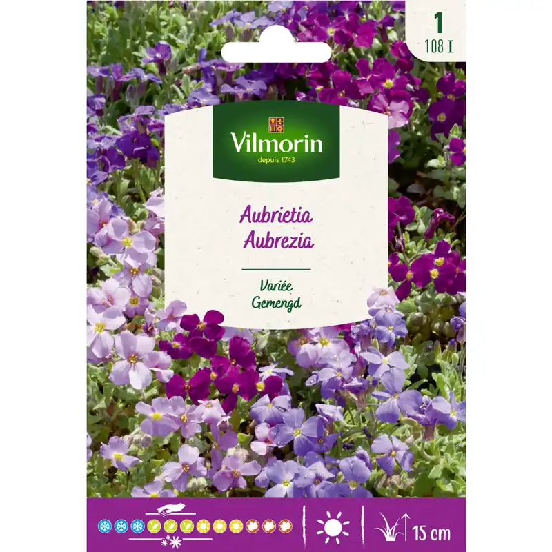 Hecho A Mano Semilla aubrietia variada