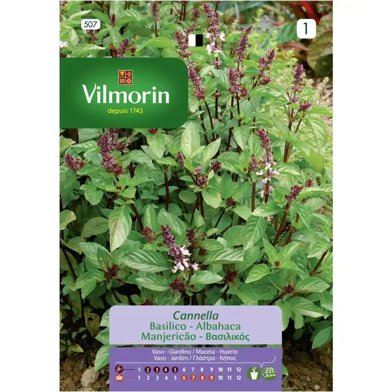 Mejor Precio Semilla albahaca canela