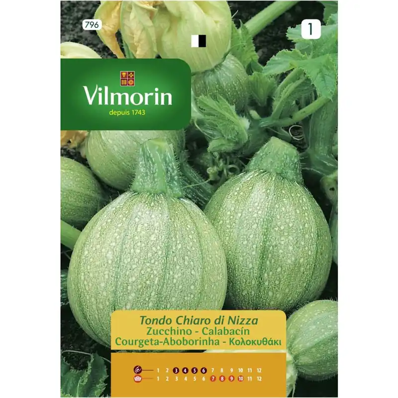 Bestseller Semilla calabacin de niza redondo