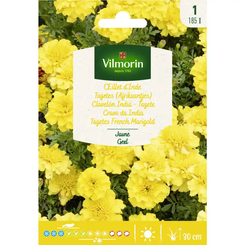 Gran Oferta Semilla clavelon india amarillo